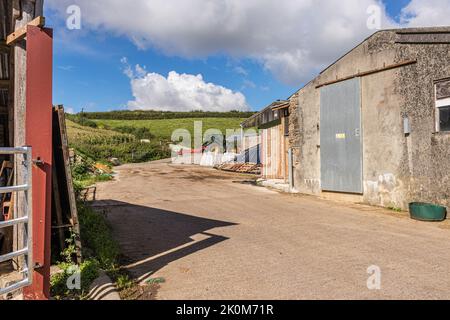 Dorset Farm scena a ovest di Shaftesbury in Dorset Foto Stock