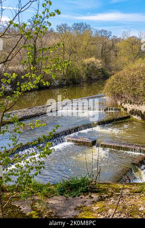 Fiume Stour Weir a Fiddleford Mill e si trova tra Okeford Fitzpaine e Sturminster Newto nel Dorset settentrionale, Regno Unito Foto Stock