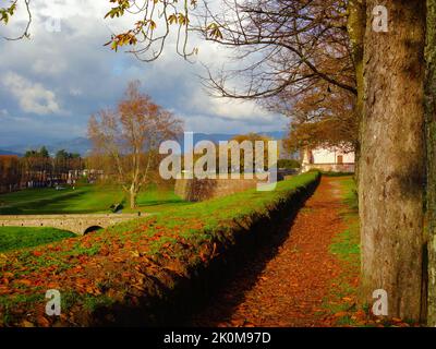 Autunno e fogliame a Lucca. Anciet città mura parco con foglie autunnali Foto Stock