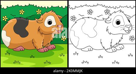 Guinea Pig animale colorazione pagina Illustrazione Illustrazione Vettoriale