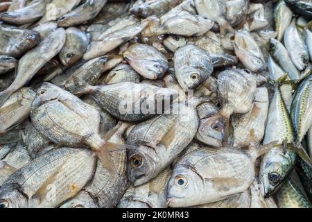 Pesce fresco crudo con testa dorata su un banco del mercato. Foto Stock