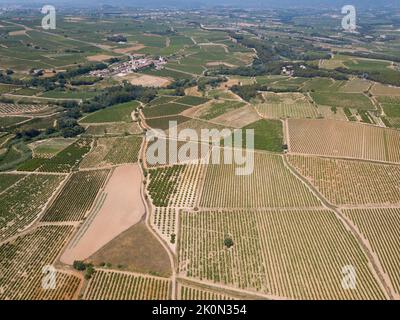 Vista aerea delle piantagioni di vigneti Foto Stock
