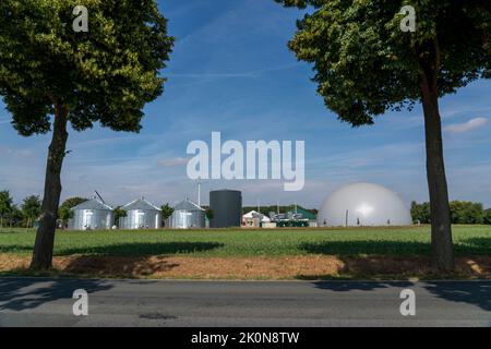 Impianto di produzione di biogas, silos di stoccaggio, ampio accumulo di tamponi per l'acqua calda per lo stoccaggio di energia intermedia, stoccaggio di gas a forma di cupola, Rietberg, NRW, Germania Foto Stock