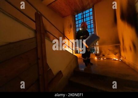 Eroe dei pompieri che trasporta l'animale domestico del gatto nella scatola di trasporto fuori dall'area bruciante dell'edificio dall'incidente di fuoco. Salvare l'animale da un pericoloso Foto Stock