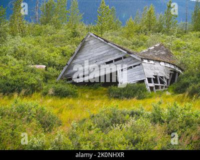 La natura rivendica un vecchio edificio in legno deserito nel paesaggio dell'Alaska. Foto Stock