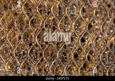 Macro di messa a fuoco selettiva di un filtro sporco cappa gamma cucina intasato di grasso. Foto Stock