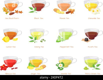 Tipi di tè alle erbe. Diversi tipi di tè neri verdi, bevanda di zucchero caldo in tazza di vetro, fiori jasmin zenzero menta peperita limone rosso hibiscus bevanda gusto speziato, illustrazione vettore pulito. Tè alle erbe verde Illustrazione Vettoriale