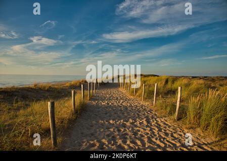 Paesaggio costiero nel nord dell'Olanda Foto Stock