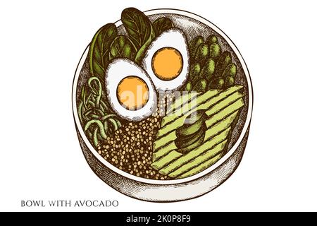 Prima colazione disegnata a mano vettore illustrazioni collezione. Recipiente colorato con avocado. Illustrazione Vettoriale