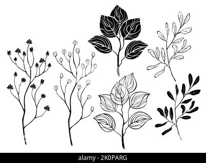 Set di contorni, nero, silhouette, piante selvatiche disegnate artisticamente, ramoscelli per bouquet e foglie, su sfondo bianco. Cottagecore. Contorno e silhouette Illustrazione Vettoriale