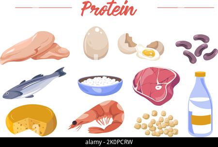 Alimenti ricchi di proteine, carne e noci, uova e latte Illustrazione Vettoriale