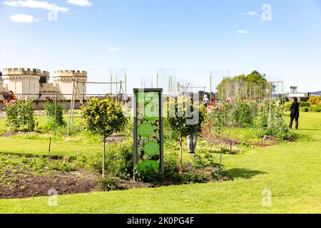 Giardino di prova nel Giardino Botanico reale per esplorare nuove specie di piante e condurre prove, centro di Sydney, NSW, Australia Foto Stock