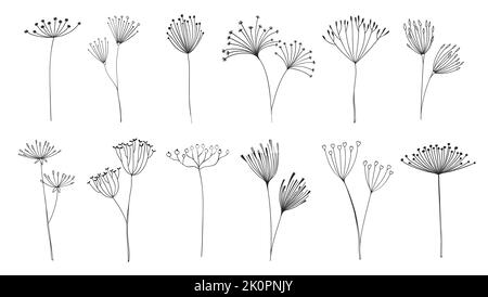 Contorni rametti e rametti floreali, fiori d'ombrello. Pioli di pianta, aneto o ramoscelli vettoriali di linea di finocchio. Decorazioni monocromatiche floreali e botaniche con semi, gemme e steli di erbe da giardino o da campo Illustrazione Vettoriale