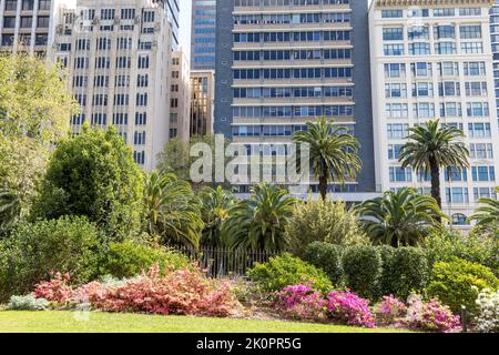 Royal Botanic Garden nel centro di Sydney, giardini e piante con uffici in Macquarie Street, Sydney, Australia 2022 Foto Stock