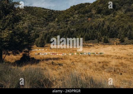 Paesaggio montagnoso di campagna. Alveari colorati su un prato nelle montagne dei Carpazi. Foto Stock