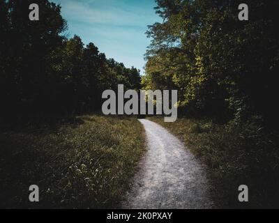 Un tranquillo sentiero di ghiaia nel bosco, con un cielo blu sopra la testa. Foto Stock