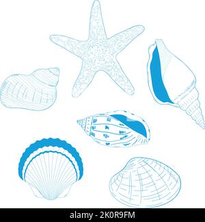 Le conchiglie blu disegnate a mano su sfondo bianco Illustrazione Vettoriale