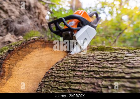 Attrezzatura a benzina motosega giacente sul log nella foresta Foto Stock