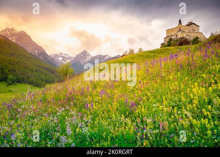 Tarasp con fiori selvatici colorati e prati in primavera, Engadina, Alpi svizzere Foto Stock