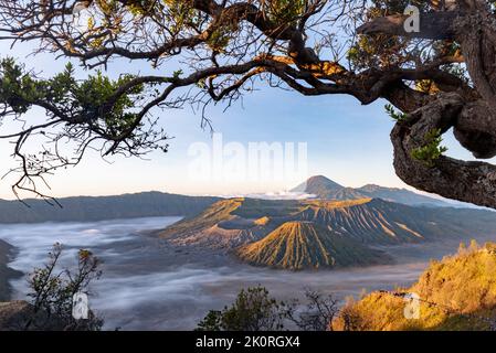 Vulcano di Monte bromo (Gunung bromo) durante l'alba dal punto di vista sul Monte Penanjakan, a Giava Est, Indonesia. Foto Stock