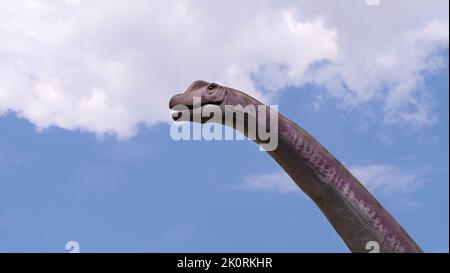 Gigantesco dinosauro erbivoro - Brachiosauro. Dino nella natura. Testa di dinosauro. Foto Stock