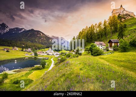 Tarasp con fiori selvatici colorati e prati in primavera, Engadina, Alpi svizzere Foto Stock
