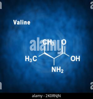 Aminoacido valina (l-valina, Val, V), struttura chimica su sfondo blu Foto Stock