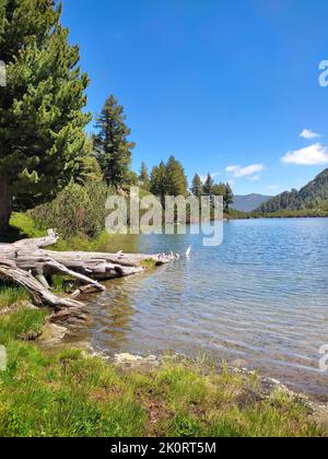 Lago Karkamski, Bulgaria, Pirin montagne pinete foresta, paesaggio estivo Foto Stock