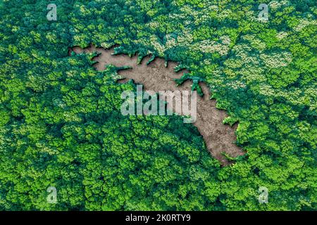 Mappa degli habitat sostenibili della Georgia del Sud e delle Isole Sandwich del Sud, concetto di ambiente Foto Stock