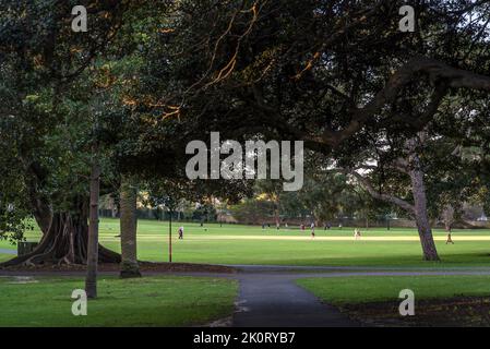 Dominio, un patrimonio-elencati di 34 ettari di spazio aperto si trova sulla frangia orientale del quartiere finanziario centrale di Sydney, Sydney, Australia Foto Stock