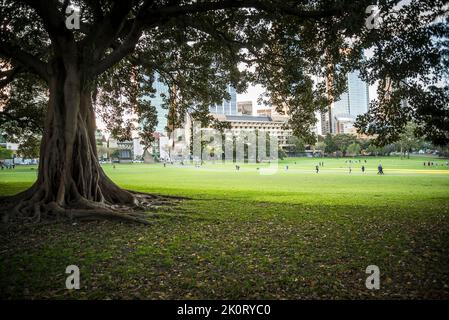 Dominio, un patrimonio-elencati di 34 ettari di spazio aperto si trova sulla frangia orientale del quartiere finanziario centrale di Sydney, Sydney, Australia Foto Stock