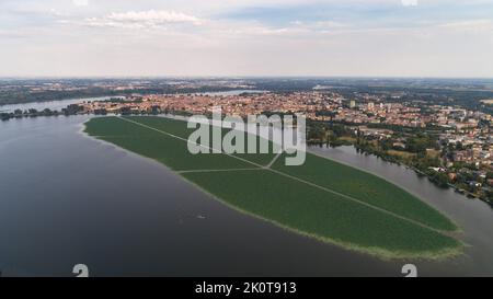 panoramica isola fiori di loto lago di mantova Foto Stock