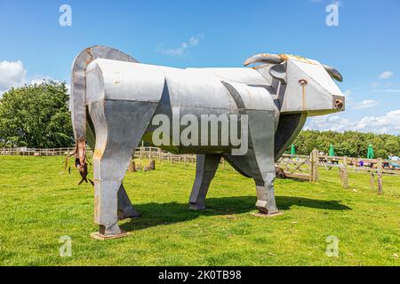 Una grande scultura metallica di un toro al Cotswold Farm Park, Kineton, Gloucestershire UK Foto Stock