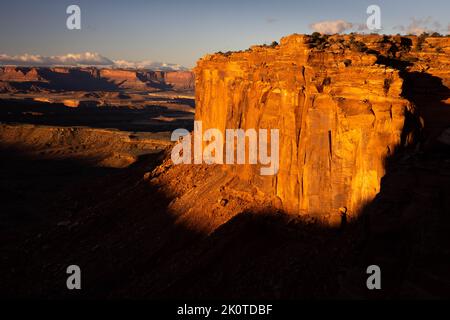 Le massicce scogliere di arenaria di wingate lungo il Murphy Trail si illuminano con luce all'alba e riflettono un'intensa luce dorata. Parco nazionale Canyonlands Foto Stock