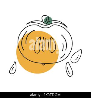 Disegno vettoriale di persimmons interi e tagliati con pozzi, colore astratto sotto forma di spot. Illustrazione Vettoriale