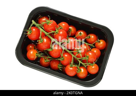 Piccoli pomodori ciliegini sulla vite in vassoio di plastica sparato dall'alto ritagliato Foto Stock