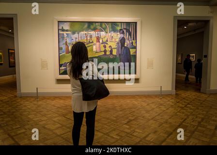 Visitatore guardando Georges Seurat la pittura una domenica sul Grande Jatte, 1884, l'Art Institute of Chicago, Chicago, Illinois, Stati Uniti d'America Foto Stock