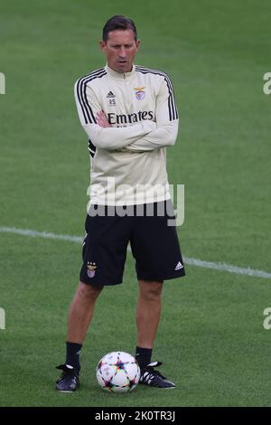 Torino, Italia. 13th Set, 2022. Roger Schmidt allenatore capo di SL Benfica reagisce prima della sessione di allenamento allo Stadio Juventus di Torino. Data foto: 13th settembre 2022. Il credito per le immagini dovrebbe essere: Jonathan Moskrop/Sportimage Credit: Sportimage/Alamy Live News Foto Stock