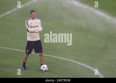 Torino, Italia. 13th Set, 2022. Roger Schmidt allenatore capo di SL Benfica reagisce prima della sessione di allenamento allo Stadio Juventus di Torino. Data foto: 13th settembre 2022. Il credito per le immagini dovrebbe essere: Jonathan Moskrop/Sportimage Credit: Sportimage/Alamy Live News Foto Stock