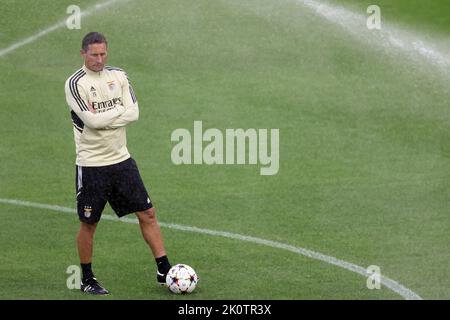 Torino, Italia. 13th Set, 2022. Roger Schmidt allenatore capo di SL Benfica reagisce prima della sessione di allenamento allo Stadio Juventus di Torino. Data foto: 13th settembre 2022. Il credito per le immagini dovrebbe essere: Jonathan Moskrop/Sportimage Credit: Sportimage/Alamy Live News Foto Stock