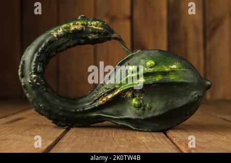 Piccola zucca autunnale decorativa o zucca su un tavolo di legno. Foto Stock