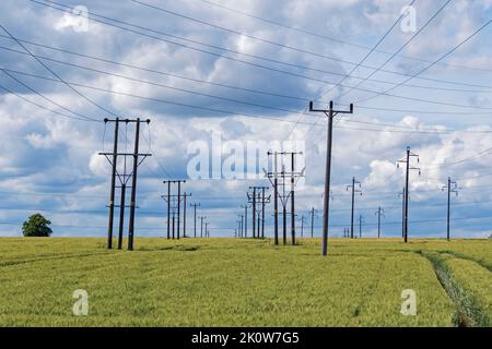 Piloni in un campo verde, paesaggio con nuvole drammatiche, Stanford-le-Hope, Essex, Inghilterra, Regno Unito. Foto Stock