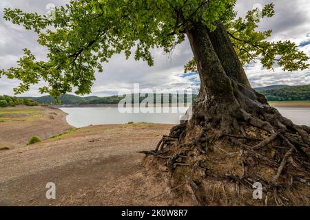 Il lago Edersee, vicino a Waldeck, il terzo bacino di riserva più grande della Germania, è attualmente poco meno del 13% del suo livello normale; l'ultima volta che il lago era pieno è stato dentro Foto Stock