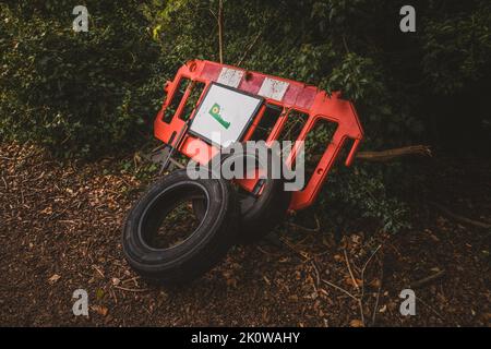 Pneumatici abbandonati nella foresta. Foto Stock