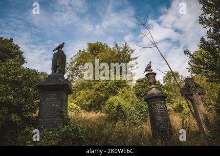 Lapidi nel cimitero, cimitero di Arnos vale Foto Stock