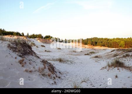 Dune di sabbia con erba a Lubiatowo. Natura selvaggia protetta costiera dal Mar Baltico. Luce mattutina sulla sabbia, paesaggio arido all'alba. Foto Stock