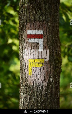 Segni di un sentiero GR (rosso e bianco) e di un sentiero PR (giallo) isolato su un tronco in una foresta. Foto Stock