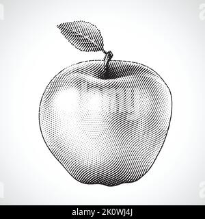 Illustrazione di Scricchboard incisa Apple Illustrazione Vettoriale