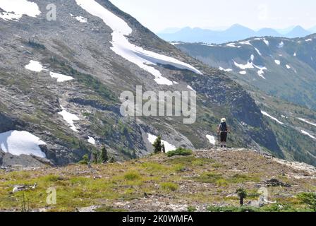 Illal Mountain, Meadow e Meandering Creek Foto Stock