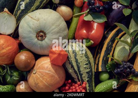 Verdure autunnali mature e bacche sono disposti sul tavolo. Vista dall'alto. Sfondo di fresco Vegets.The concetto di uno stile di vita sano. Foto Stock